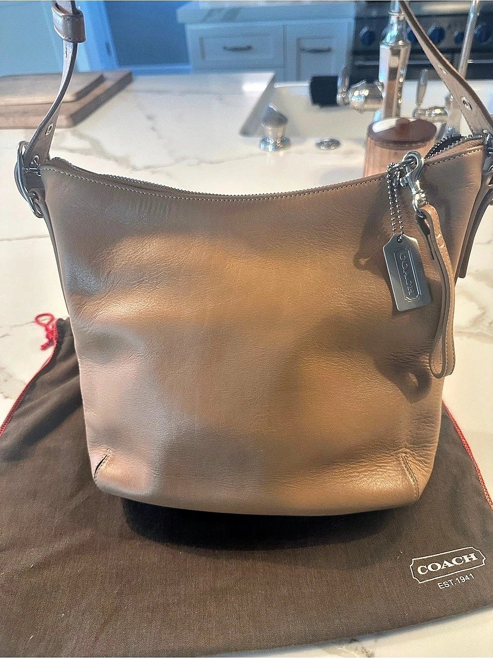 Coach Leather Shoulder Bag in Tan